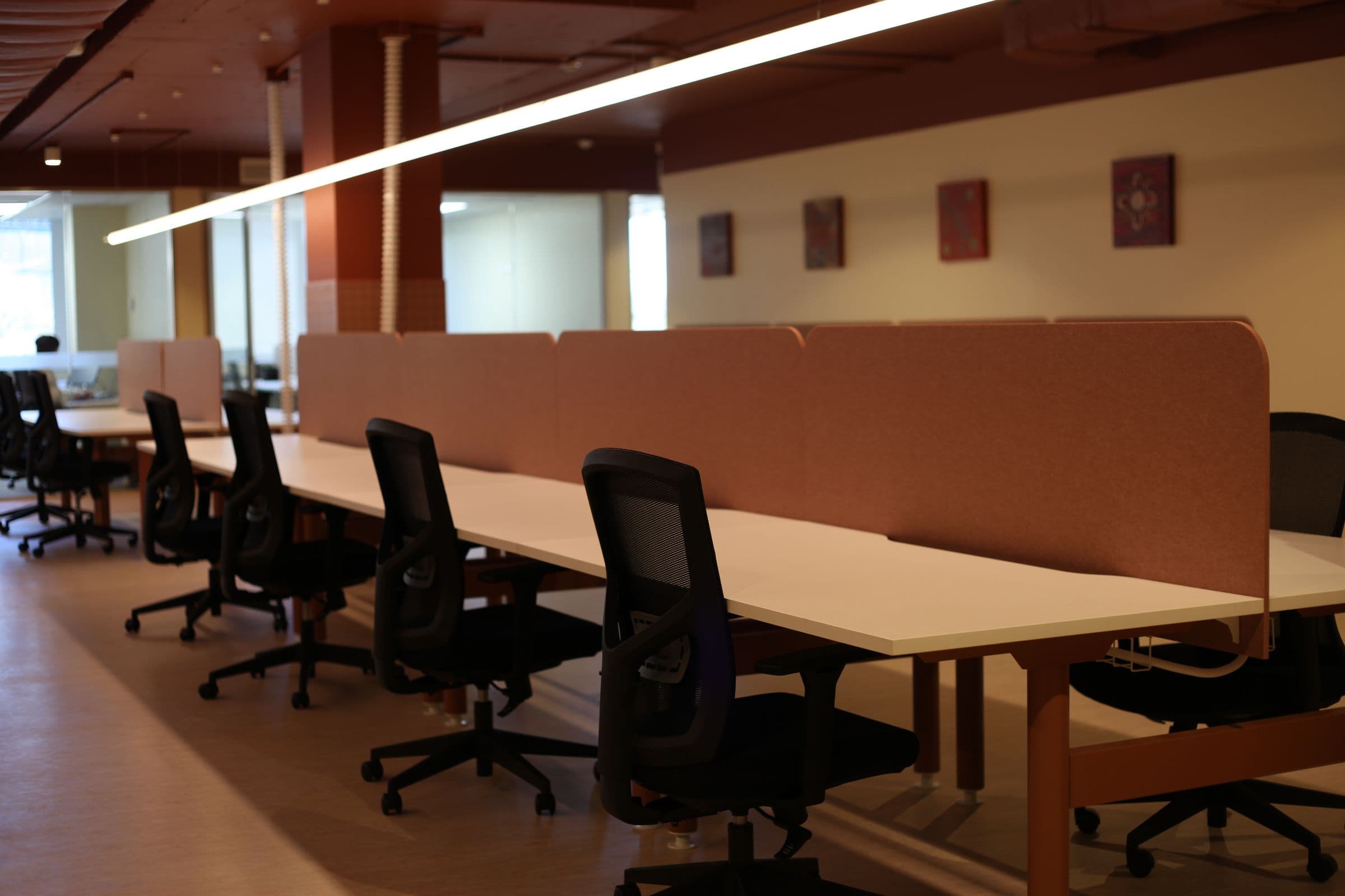 Rows of shared desks in the coworking area