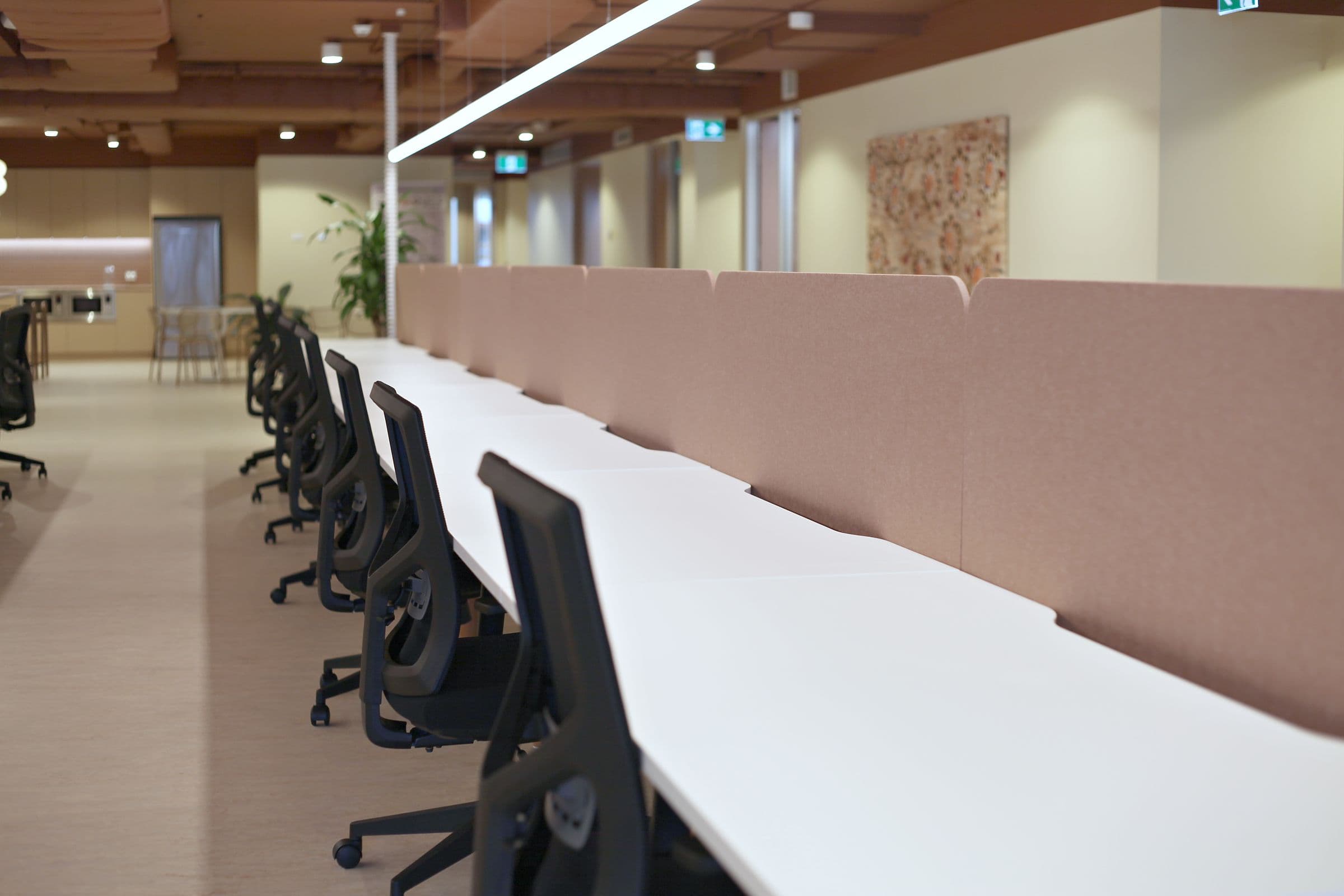 A long row of shared desks with pink screen dividers