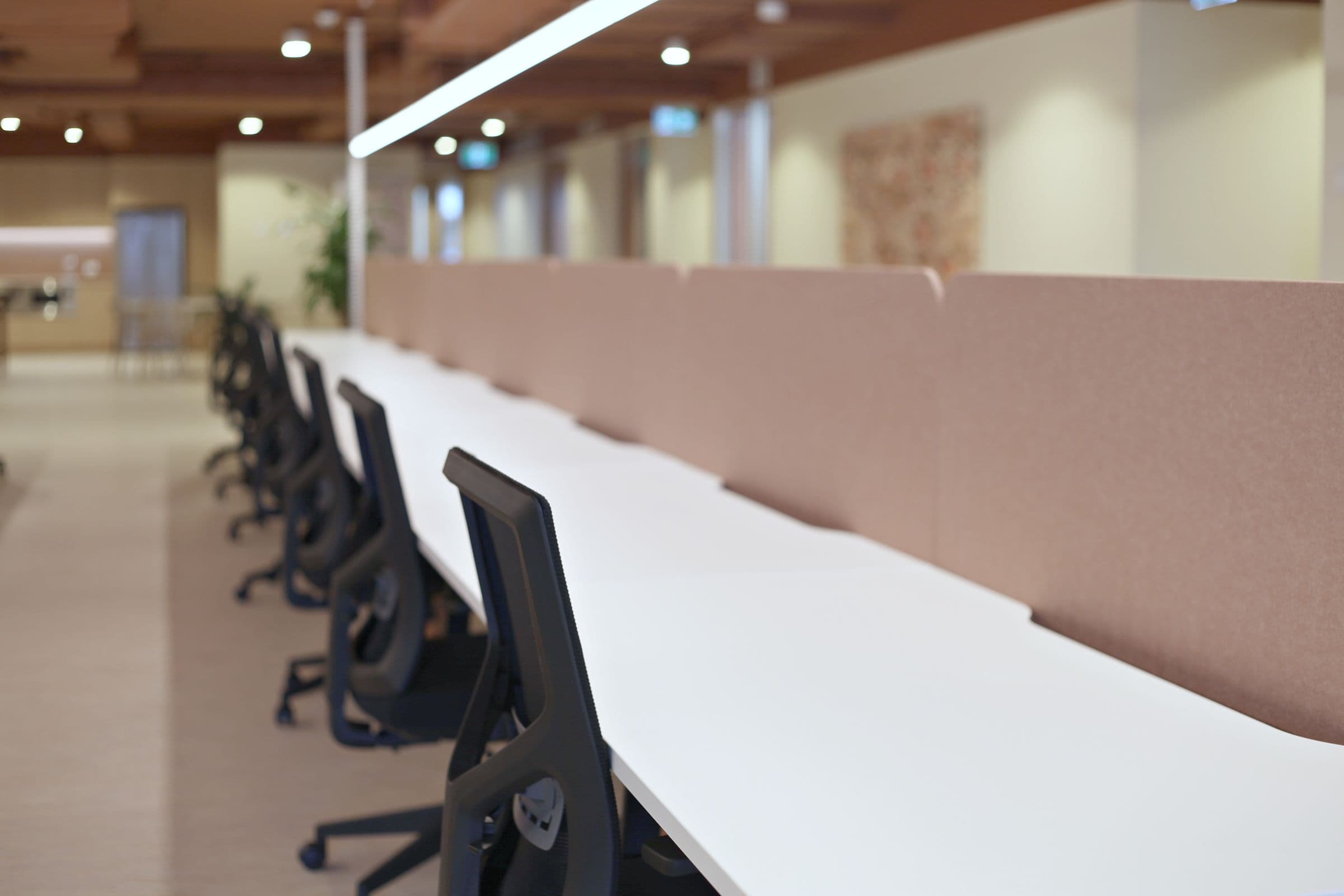 A long row of desks with screen dividers
