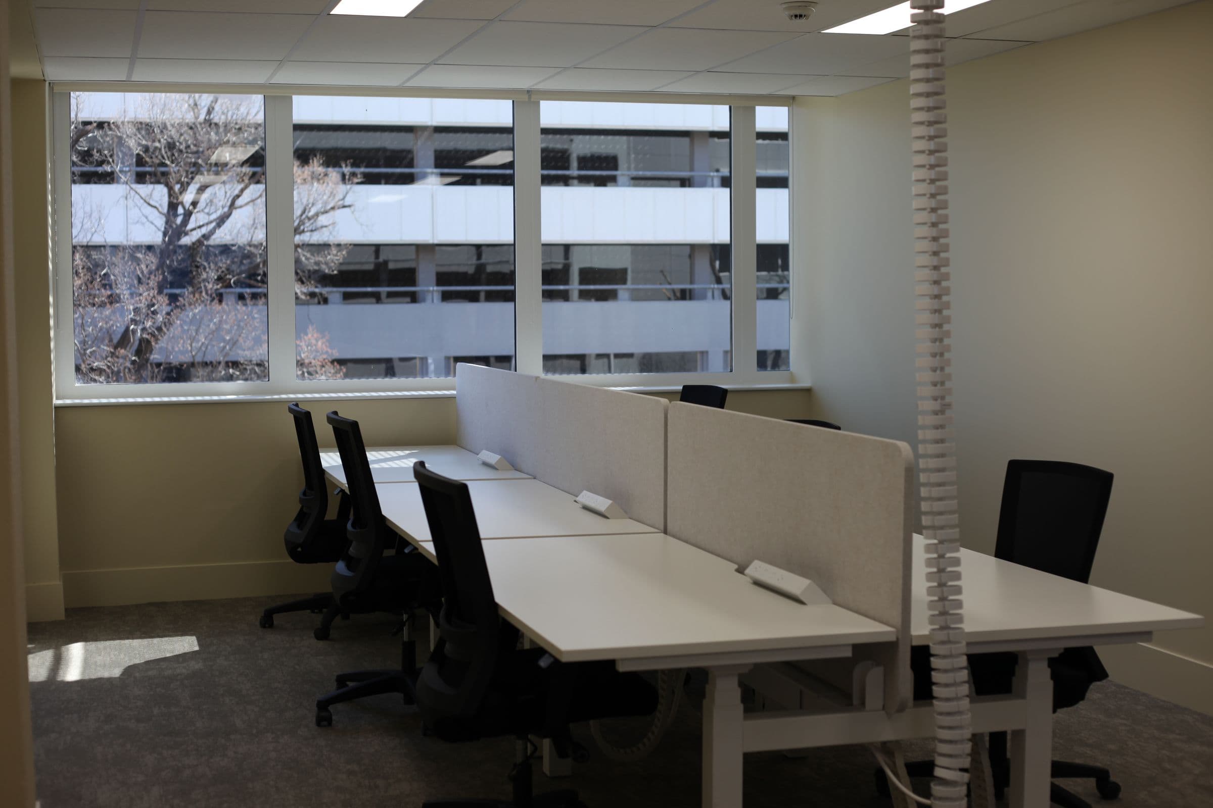 A team office with desks and screen dividers by a window
