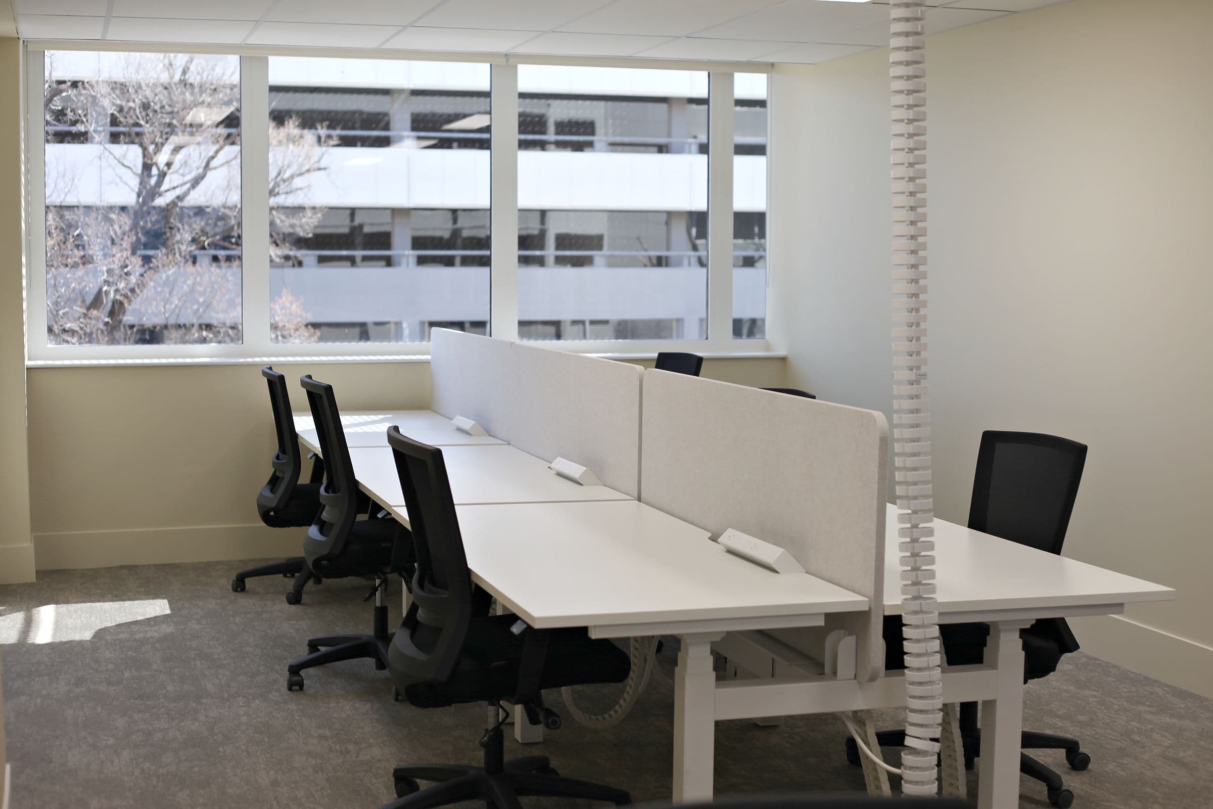 A team office with desks and screen dividers by a window